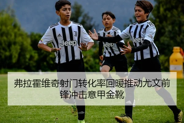 弗拉霍维奇射门转化率回暖推动尤文前锋冲击意甲金靴