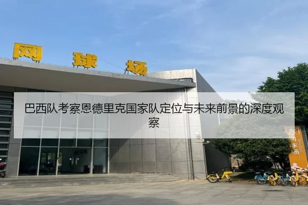 巴西队考察恩德里克国家队定位与未来前景的深度观察